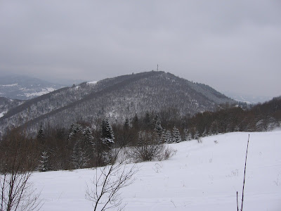 IMG_3063.JPG
