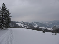 IMG_3092.JPG