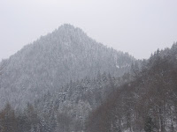 IMG_2891.JPG