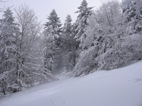 IMG_2898.JPG