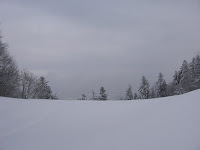 IMG_2916.JPG