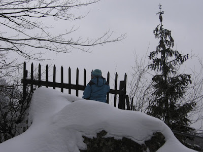 IMG_2983.JPG