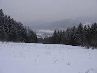 IMG_2992.JPG