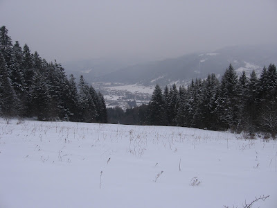 IMG_2992.JPG