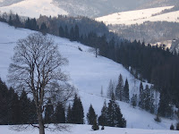 IMG_3509.JPG