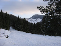 IMG_3514.JPG