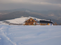 IMG_3520.JPG