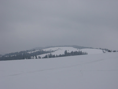 IMG_3231.JPG
