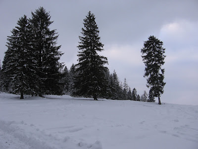 IMG_3299.JPG