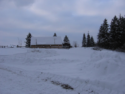 IMG_3304.JPG