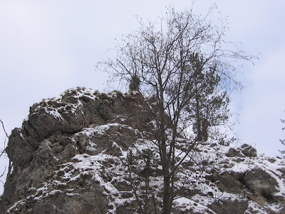 IMG_3336.JPG