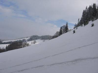 IMG_3377.JPG