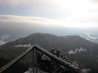 IMG_3415.JPG