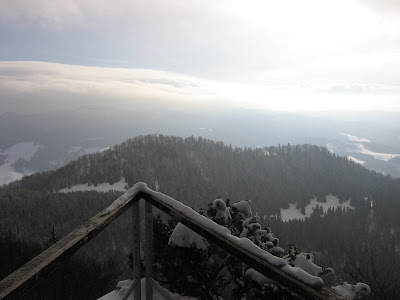 IMG_3415.JPG