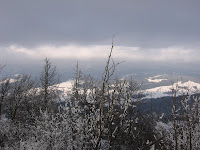 IMG_3428.JPG