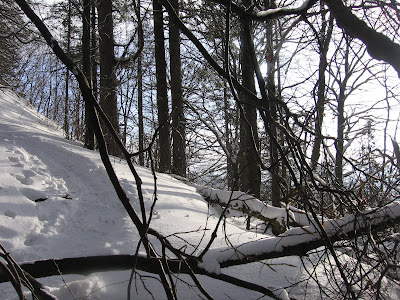 IMG_3457.JPG