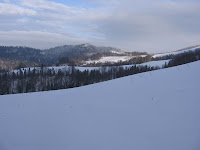 IMG_3466.JPG