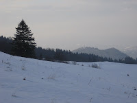 IMG_3480.JPG