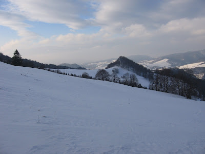 IMG_3484.JPG