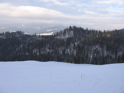IMG_3491.JPG