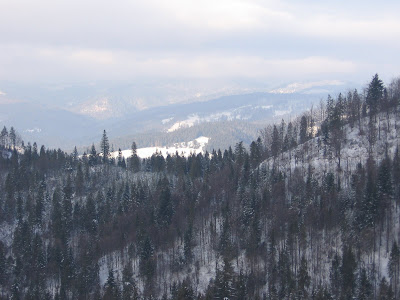 IMG_3499.JPG