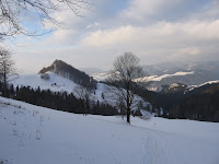 IMG_3504.JPG