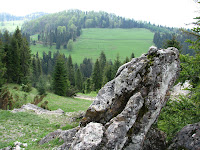 IMG_3065.JPG