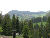 IMG_3034.JPG