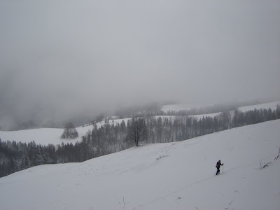 DSC07335.JPG