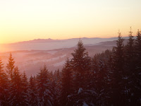 sdc11178.jpg