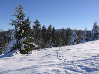 img_9503.jpg