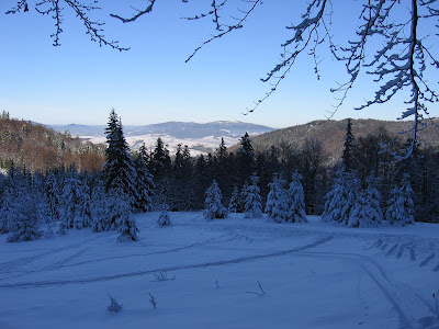 img_9528.jpg