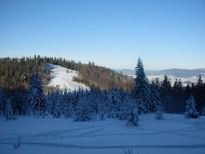 sdc11154.jpg