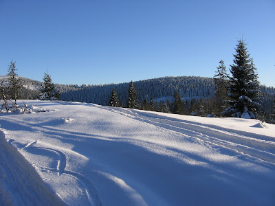 img_9552.jpg