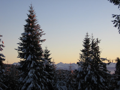img_9554.jpg