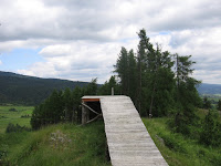 IMG_3802.JPG