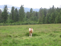 IMG_3895.JPG