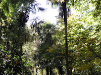 PB050510.JPG