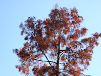 PB050476.JPG