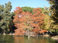 PB050490.JPG