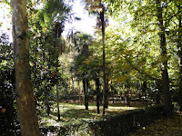 PB050509.JPG