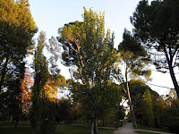PB050661.JPG