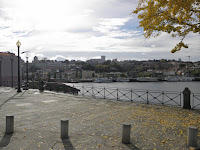 PB071258.JPG