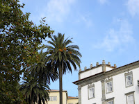 PB071301.JPG