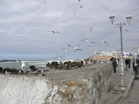 P2140821.JPG