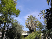 P2130355.JPG
