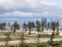 P2221247.JPG