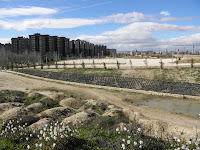 P2221254.JPG