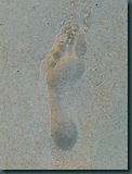 footprint