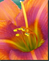 DSCF6469 DSCF6469